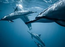 开云体育官网-秦游夏：专打曼联痛处！纳格尔斯曼就这样击垮奥莱